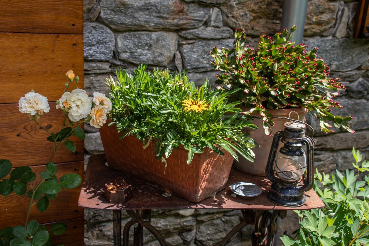 Agriturismo Treterre Pianello Del Lario Экстерьер фото