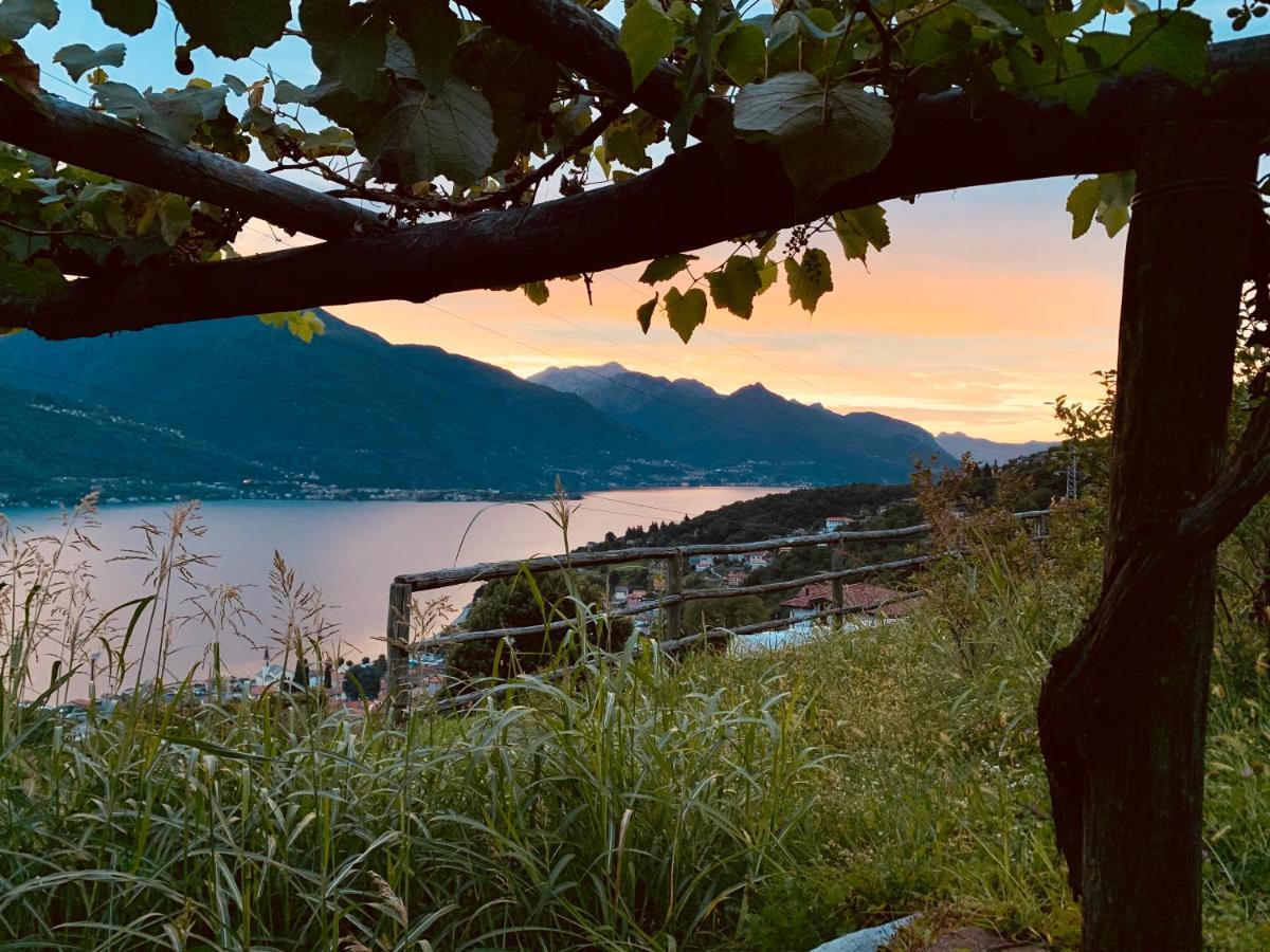Agriturismo Treterre Pianello Del Lario Экстерьер фото
